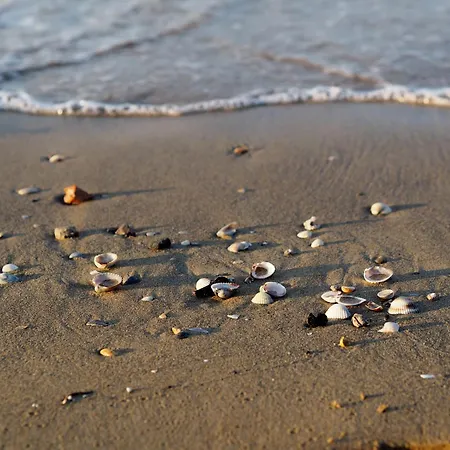 Family-friendly Flat Just 50mt From The * Bibione